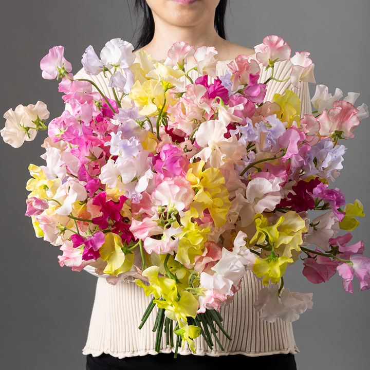 best florists in hong kong: Flannel Flowers