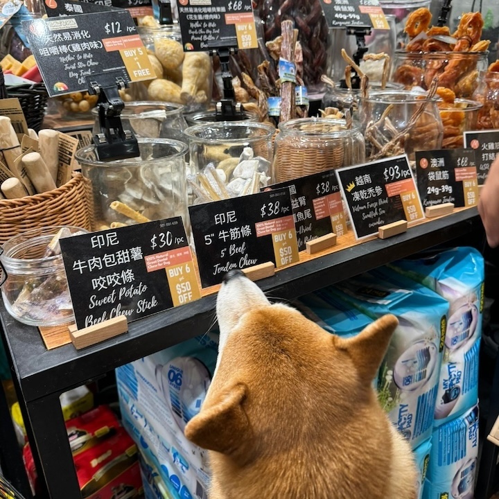 Repulse Bay Guide, Repulse Bay Shops, The Pulse, The Dog's Garden, pet friendly