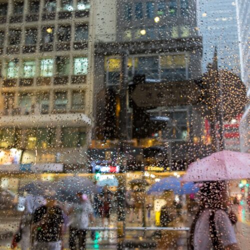 Hong Kong Typhoons: Your Ultimate Guide To Signals, Rain Warnings & More