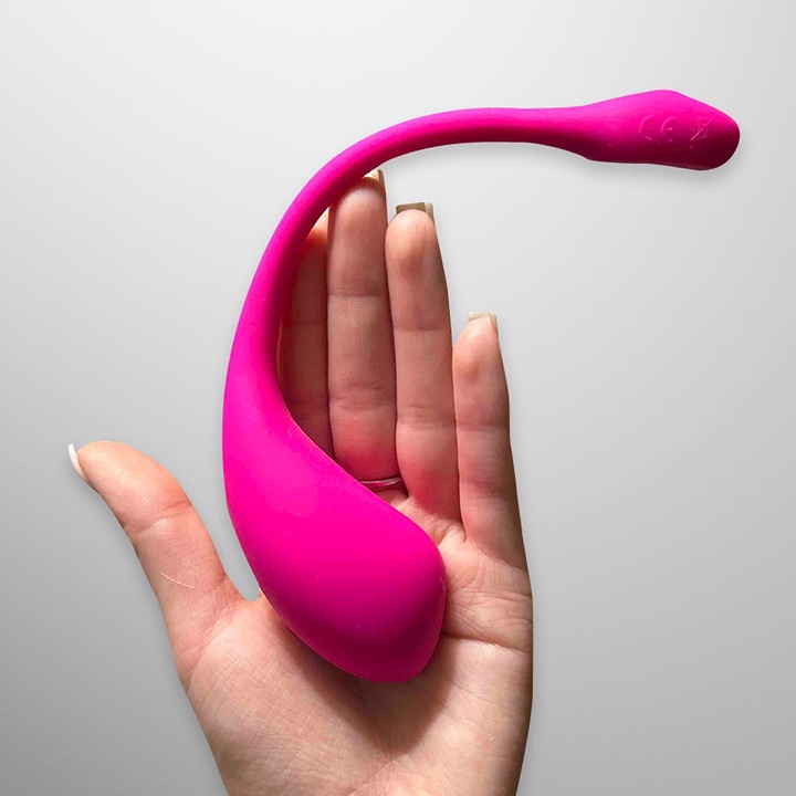 2025 Valentine's Day Gift Ideas: Lovense vibrator